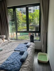 The Brownstone (D27), Condominium #588754011
